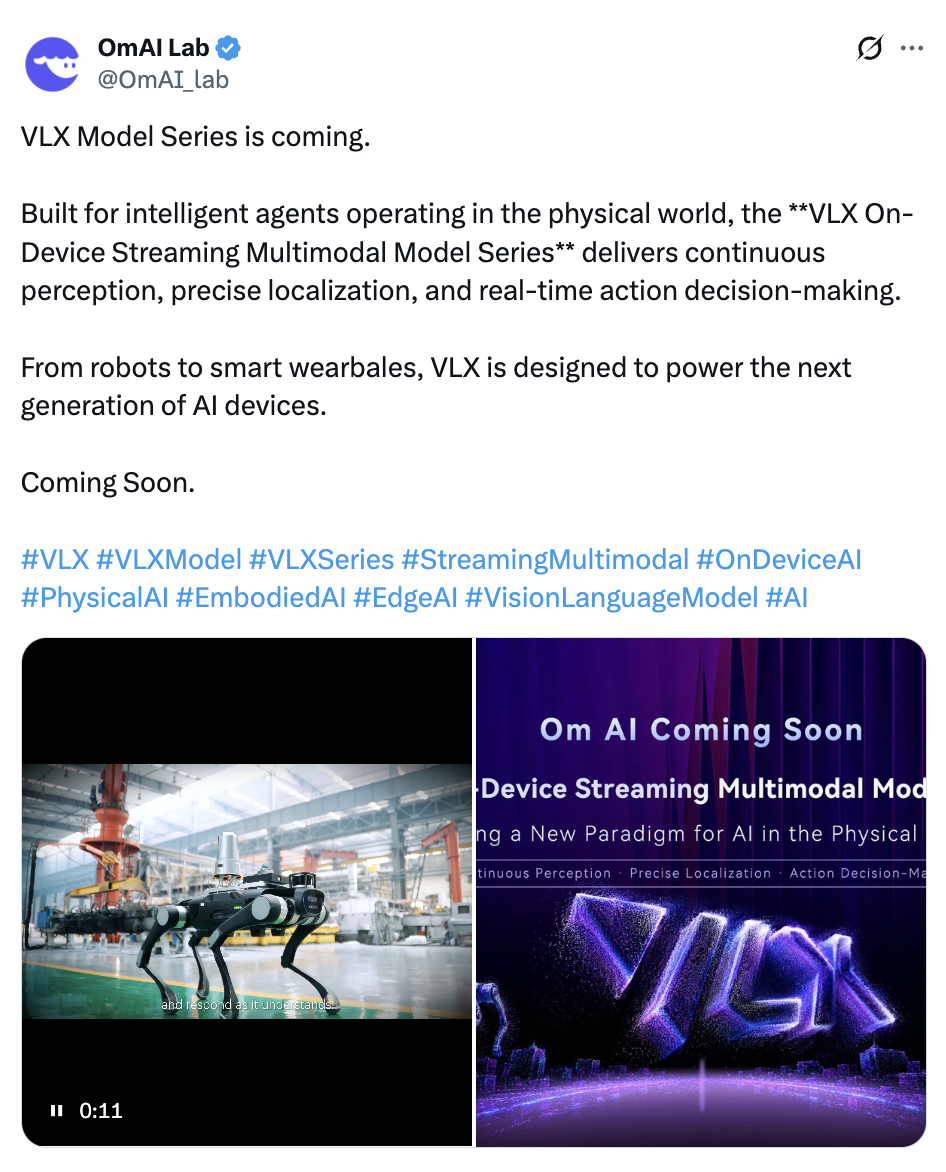 VLXシリーズの発表。Om AIのX(Twitter)アカウントより。