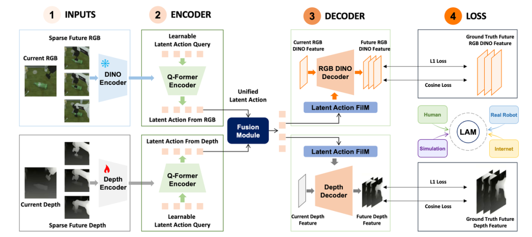MWA の学習アーキテクチャ。Encoder(DINO / Q-Former)から潜在アクションを経てDecoderへ、L1損失とコサイン損失で学習する。